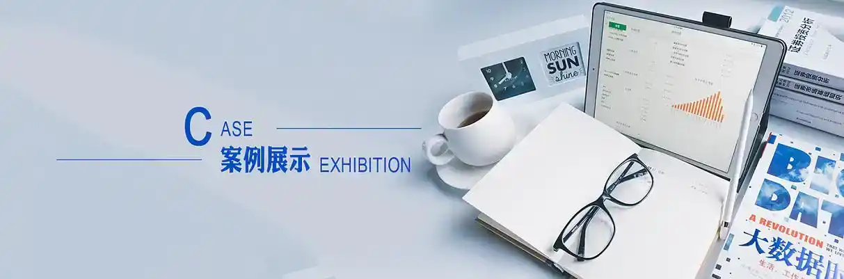 铁锋区软件开发